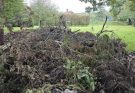 Can you spot the hidden dog? Only those with ‘sniper vision’ can find it