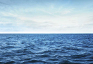 Depressing find at the bottom of the Mariana Trench is a warning to the world