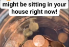 🔥 A $50,000 PENNY might be sitting in your house right now!